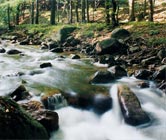 Andsicht des Flusslaufes der Bode im Harz